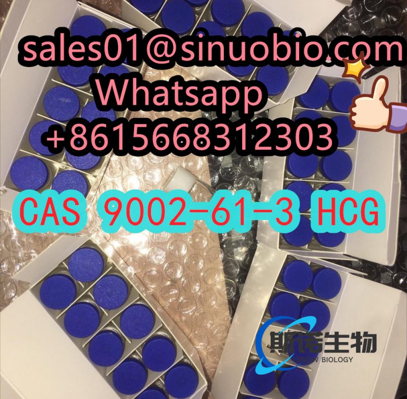Factory Direct Selling: Chorionic Gonadotropin CAS 9002-61-3 99% Purity White Powder  Sinuo