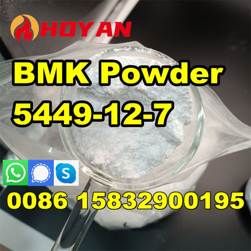 Hoyan supply bmk 5449-12-7 BMK Glycidic Acid powder