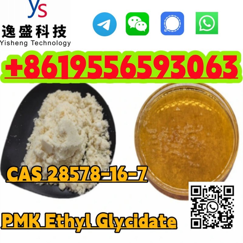 Wholesale 99% purity PMK CAS 28578-16-7 Powder/Oil