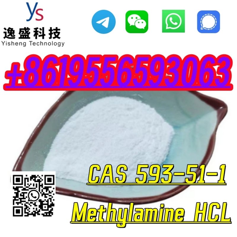 Factory Supply CAS 593-51-1 Methylamine hydrochloride