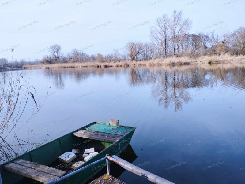 Vízparti ingatlan Holt-Tisza parton eladó 
