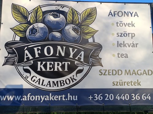 Áfonya Kert