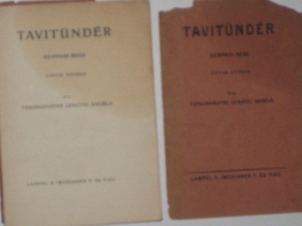 Ferdinandyné Tavitündér