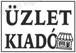 Kecskeméten, belvárosban 24 nm-es üzlethelyiség KIADÓ!