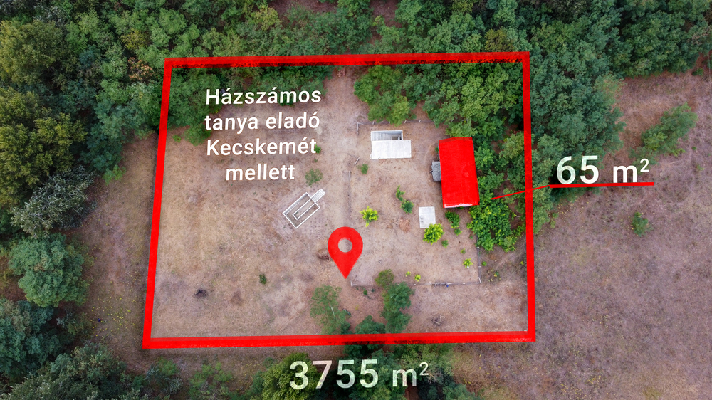 Erdei környezetben házszámos tanya (építési telek) eladó!