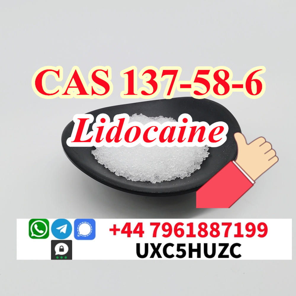 CAS 137-58-6 Lidocaine base Xylocaine Factory Supply Safe Delivery