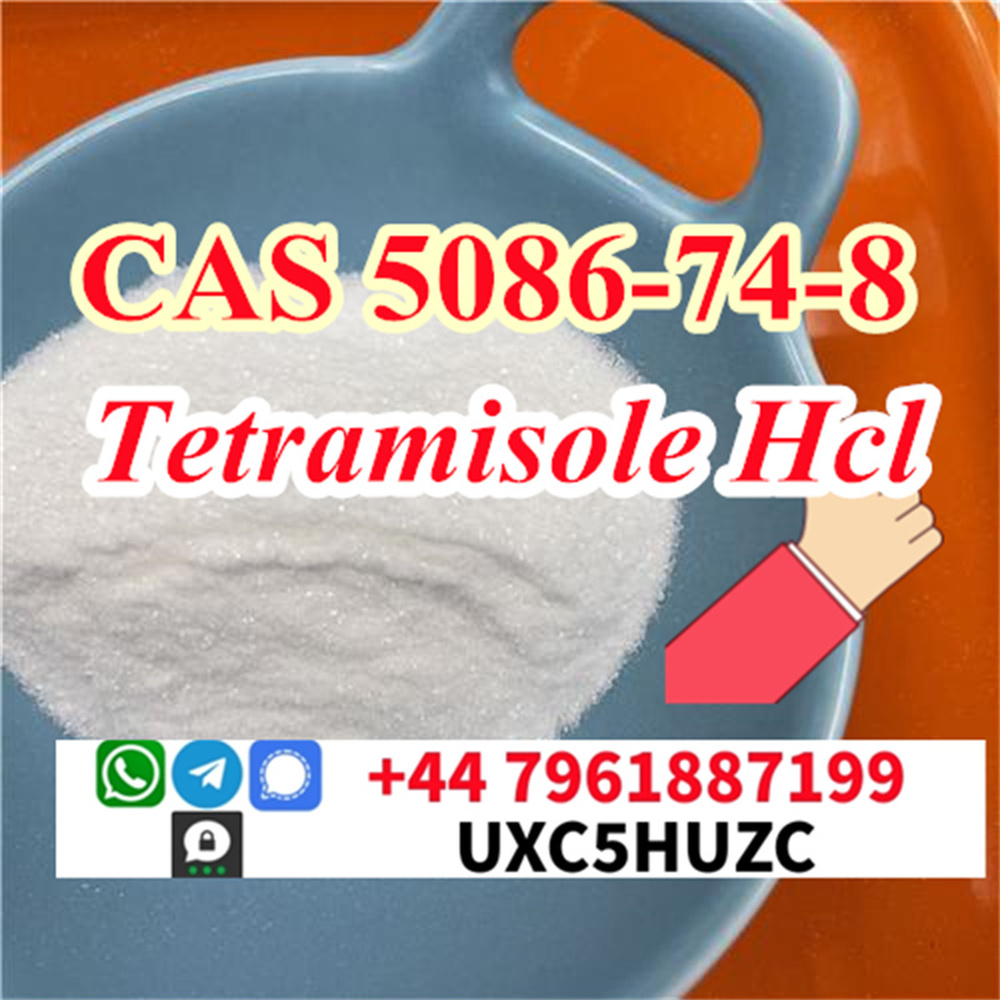 Raw Material CAS 5086-74-8 Manufacturers and Suppliers Tetramisole hcl price