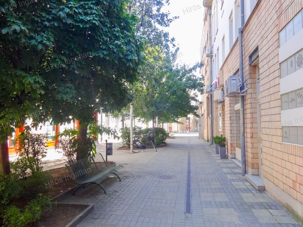 KECSKEMÉT SZÍVÉBEN EXKLUZÍV LAKÁS ELADÓ!!