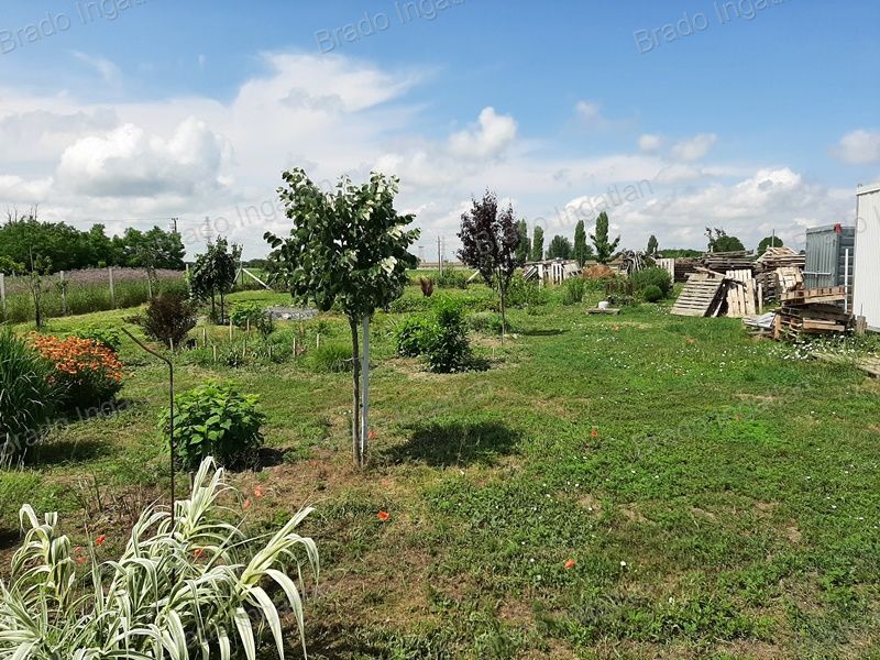 SZIGETCSÉPEN ELADÓ TELEK