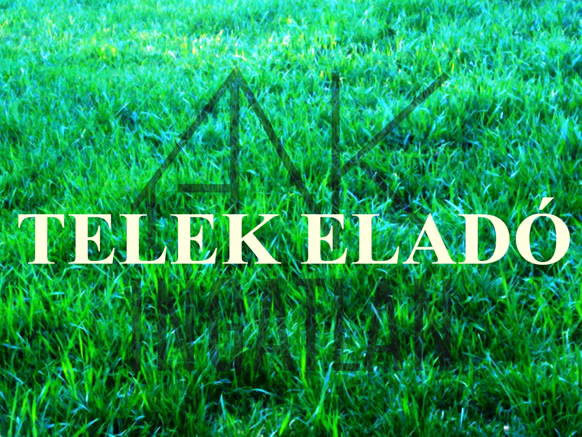 Ajak belvárosában 1105 m2-es telek eladó!