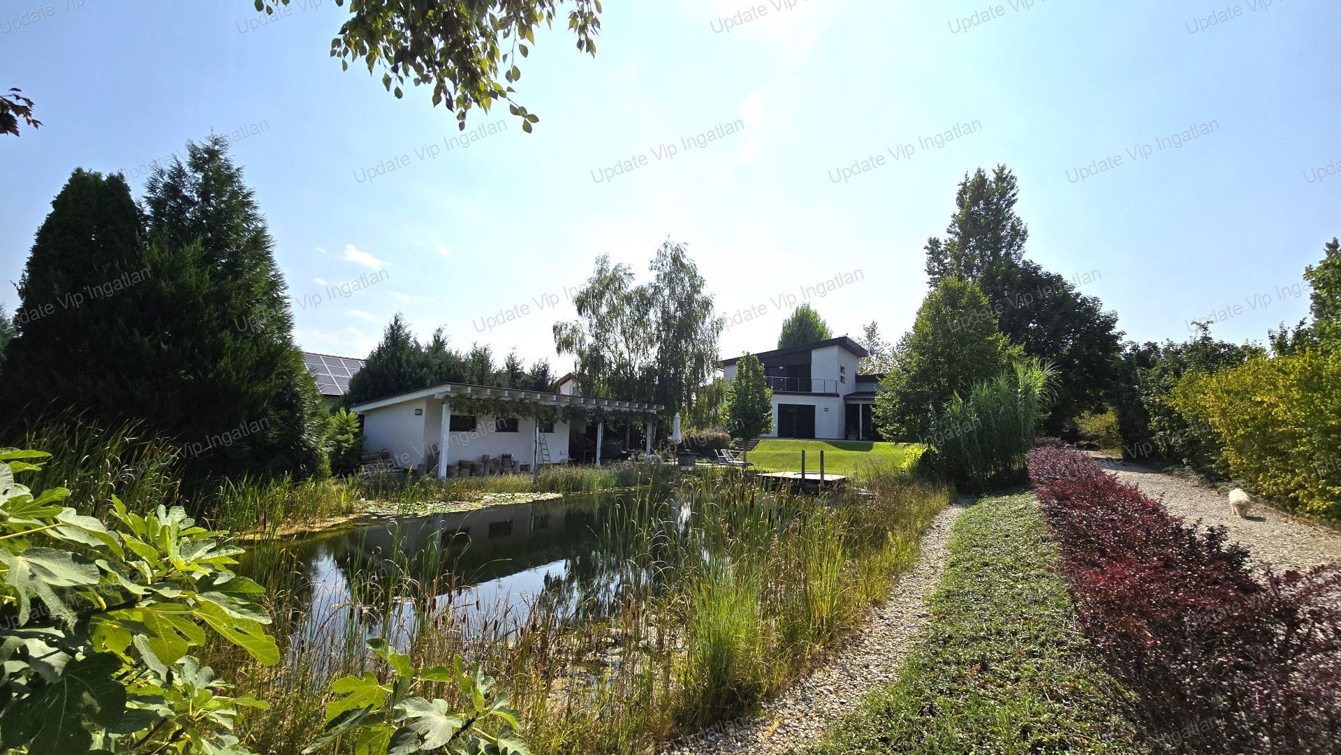 ZAMÁRDIBAN EGYEDI HANGULATÚ CSALÁDI HÁZ/NYARALÓ,  RÉSZLEGES BALATONI/TIHANYI PANORÁMÁVAL,  SAJÁT FÜRDŐTÓVAL ÉS GYÜMÖLCSÖSSEL ELADÓ!