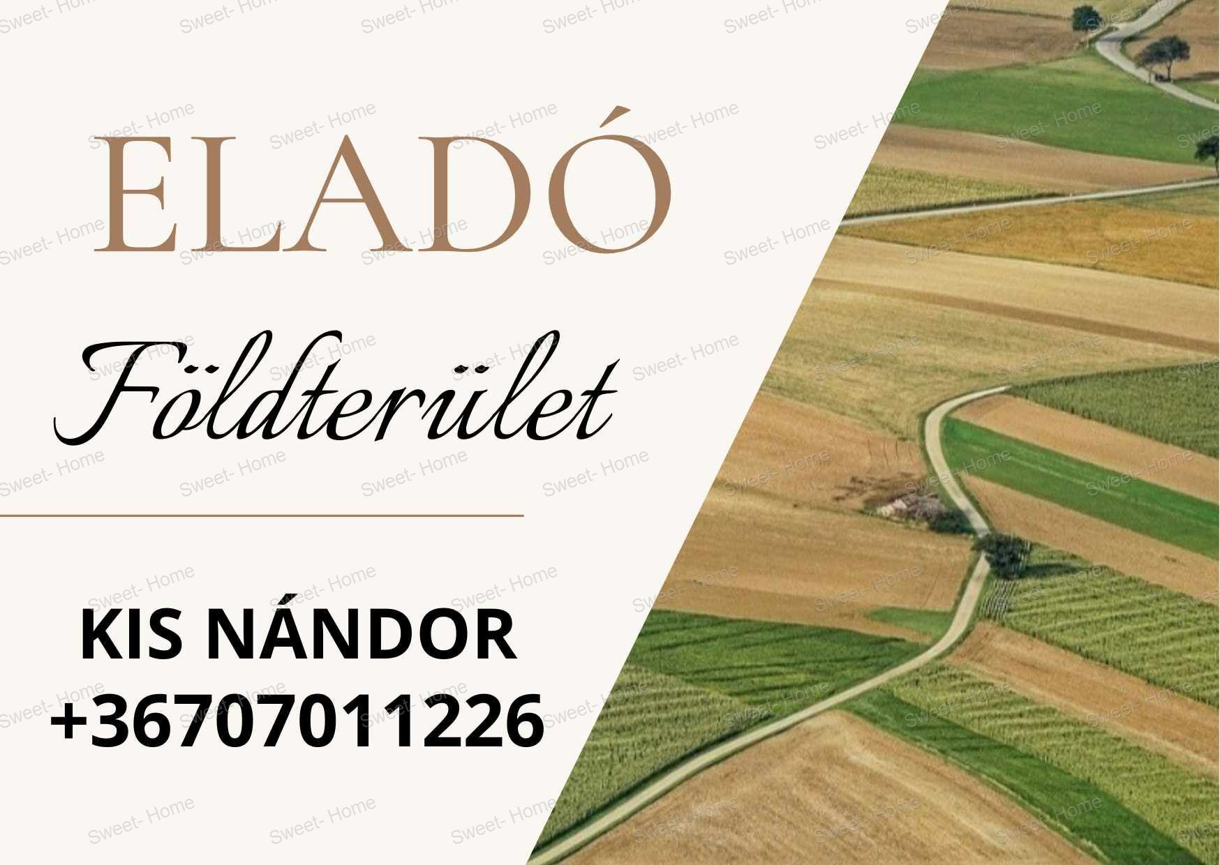 Eladó Felsőlajoson egy 1,1 hektár szántó és erdő