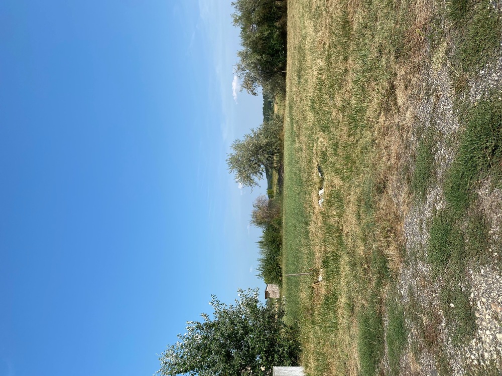 Szántódon Balaton közeli 754 m2-es építési telek eladó