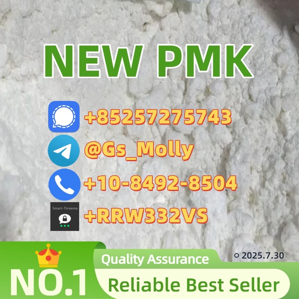 Hot Sale! PMK Powder CAS 28578-16-7 CAS 13605-48-6 | Fast Shipping