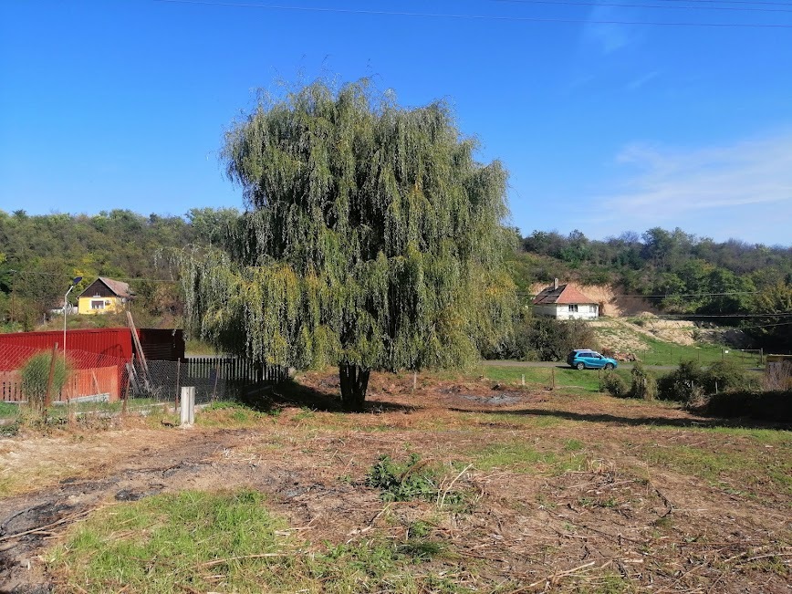 GOMBA-FELSŐFARKASD községben ELADÓ egy 1719 m²-es BELTERÜLETI,  ÉPÍTÉSI TELEK JÓ ÁRON!