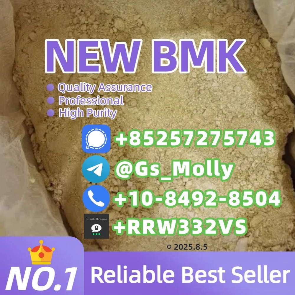 Premium B M K Glycidate Powder CAS 5413-05-8 Reliable Supplier for Research