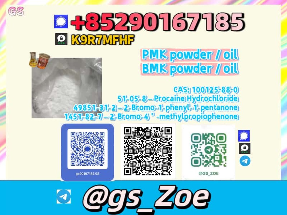 Verified Supplier B.M.K 5449-12-7, P.M.K 28578-16-7 1451-82-7