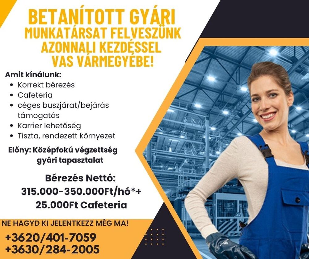 Betanított gyári munkalehetőség  Vas vármegyében!