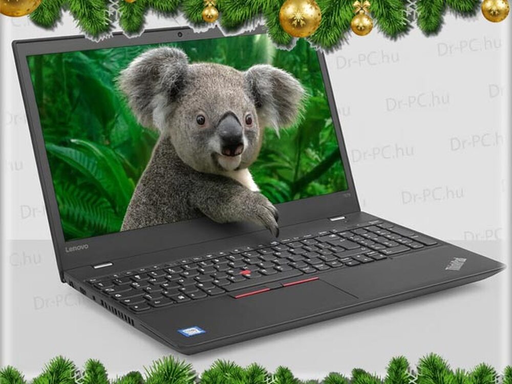 Laptop NEKED: Lenovo ThinkPad L560 -12.11