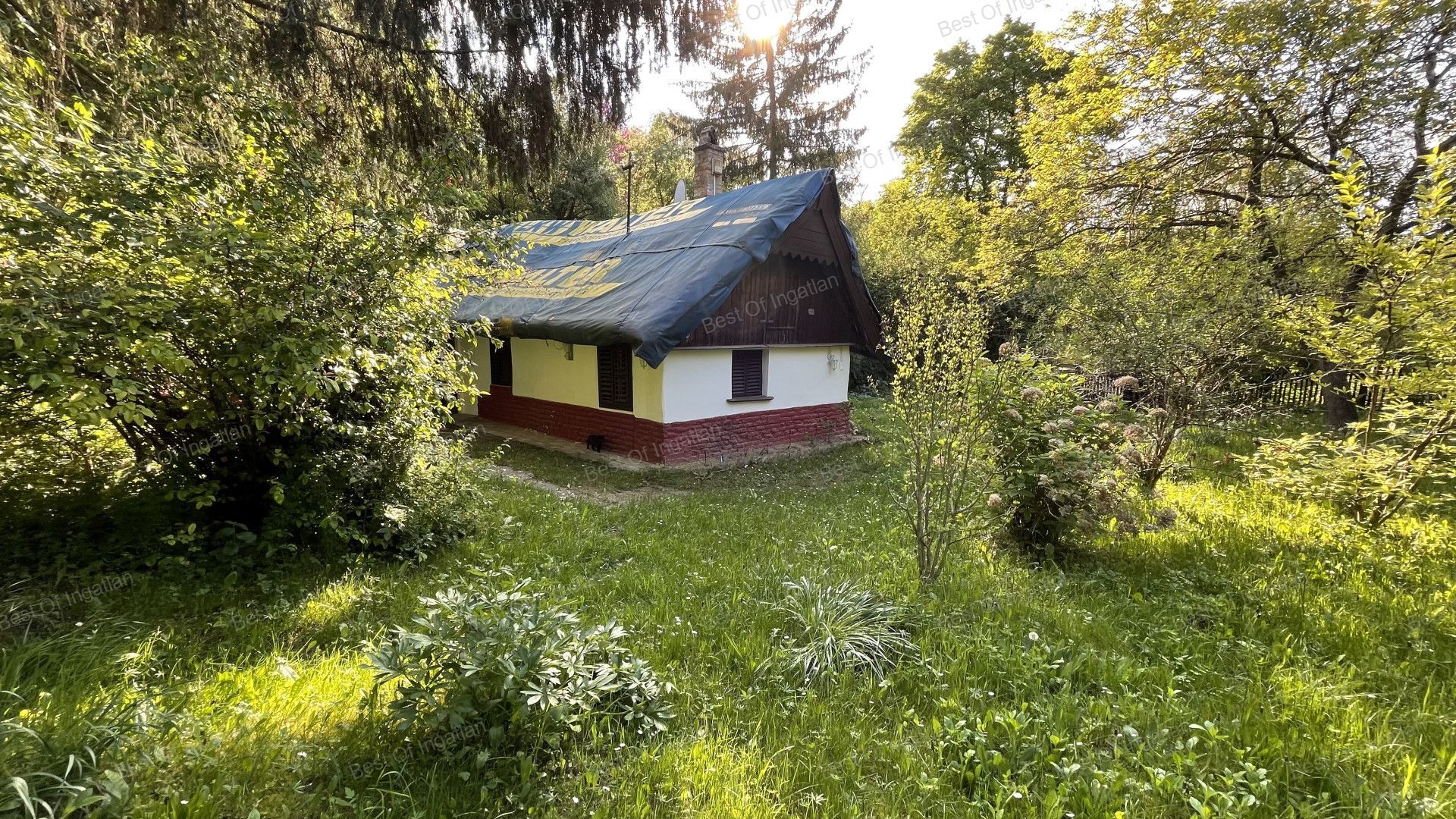 Écsen 1523 m2-es gondozott ZÁRTKERTEN épült parasztház, boltíves pincével, tárolóval eladó!