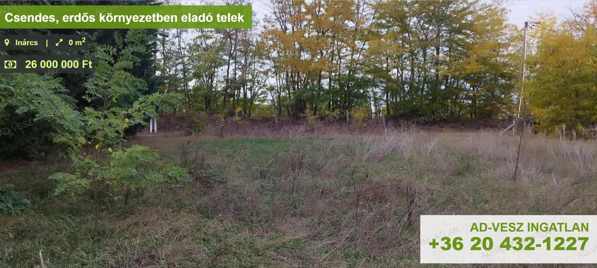 Csendes, erdős környezetben eladó telek