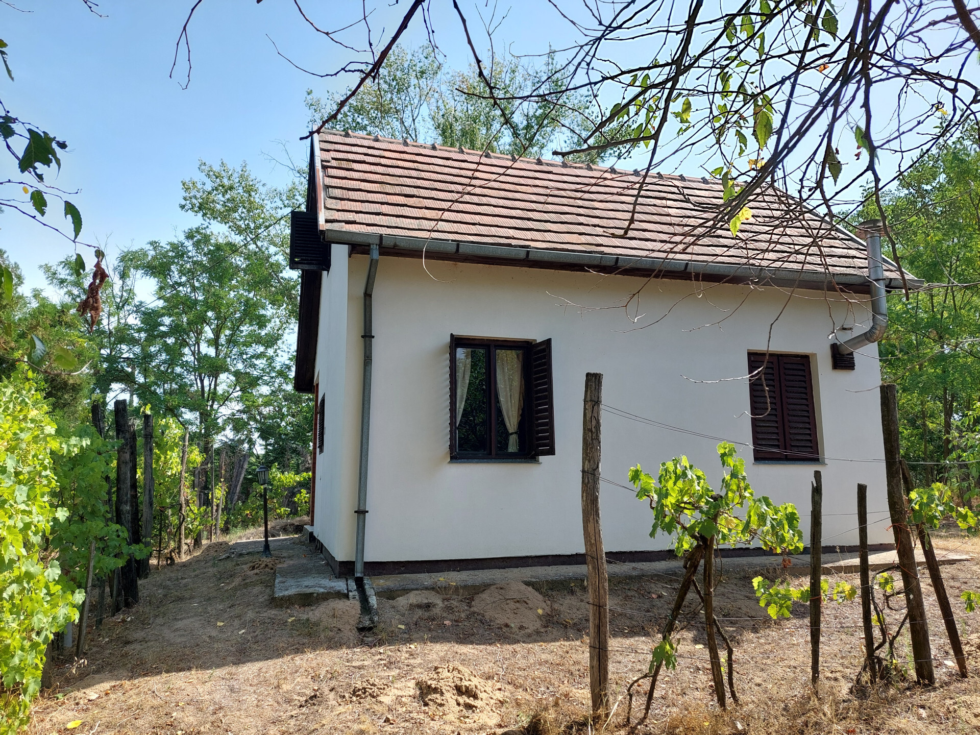 Vásároljon nyaralót/otthont a Csongrád-Bokroson, a Tisza parttól 200 méternyire!