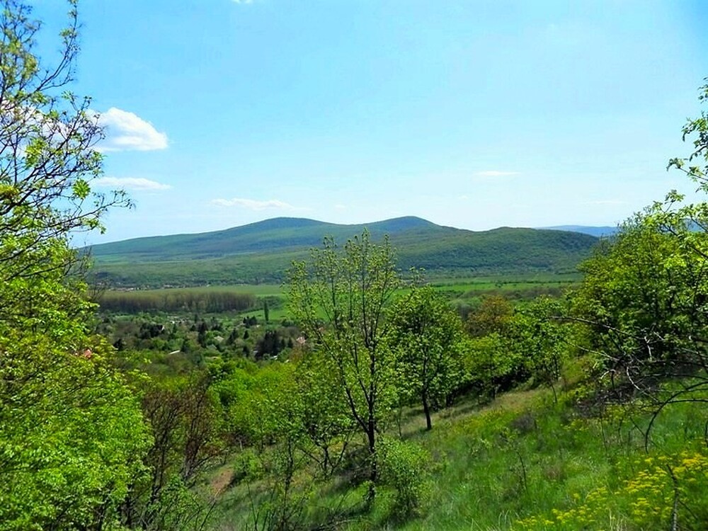 Pilisi Örök Panorámás, Erdővel Övezett 2e nm-es Lekerített Telek