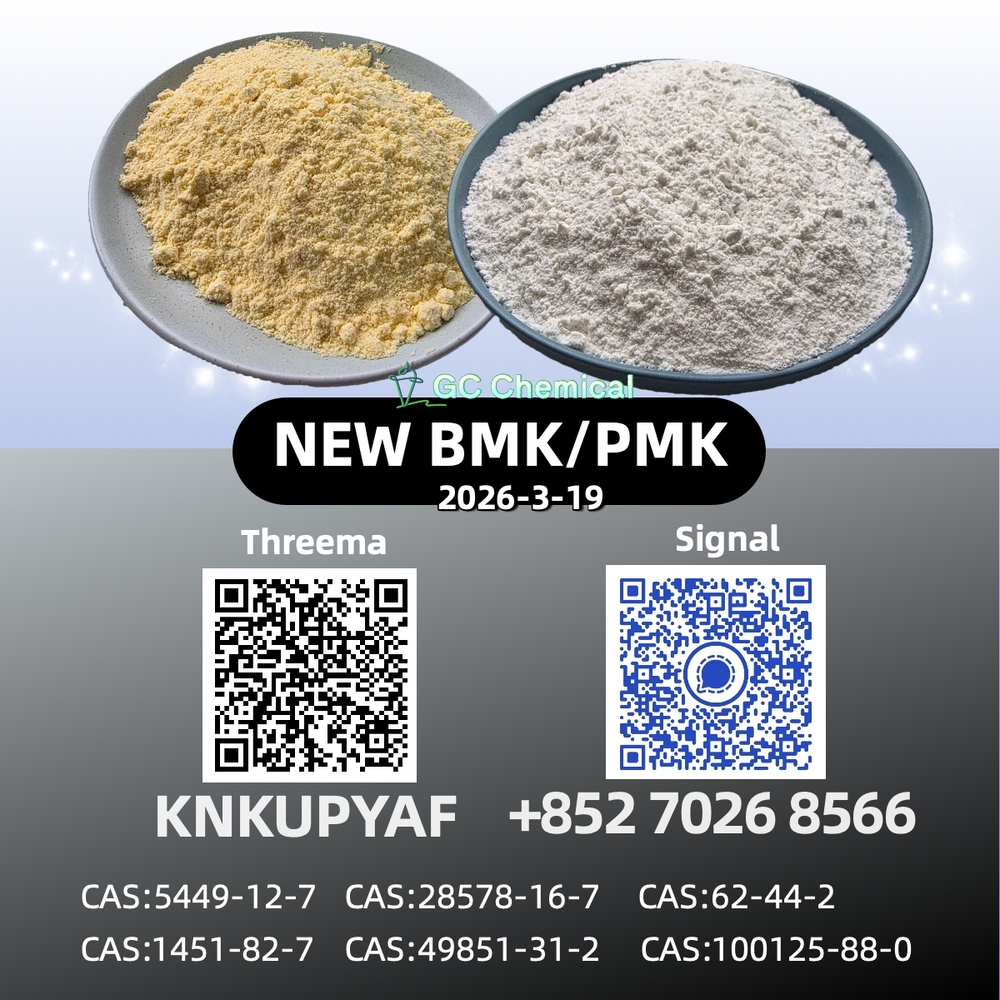 28578-16-7 Factory Direct Supply P.MK B.MK Powder Oil CAS 5449-12-7