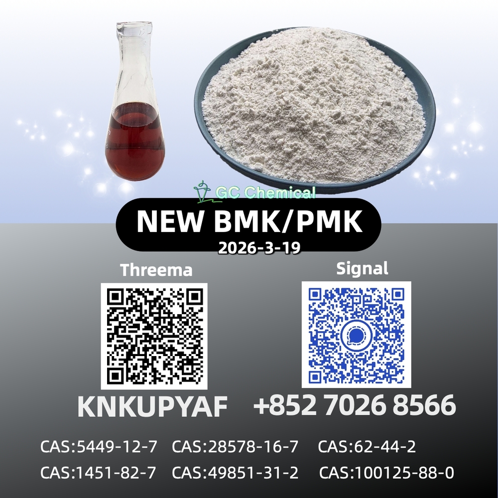 28578-16-7 Manufacturer Price P.MK B.MK Powder/Oil CAS 5449-12-7
