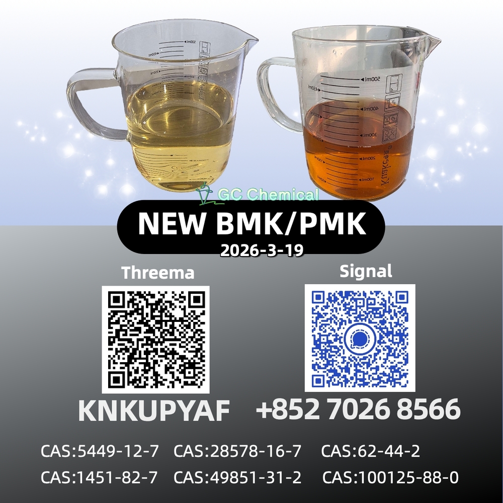 CAS 28578-16-7 P.MK Oil Global Shipping Available 5449-12-7 B.MK