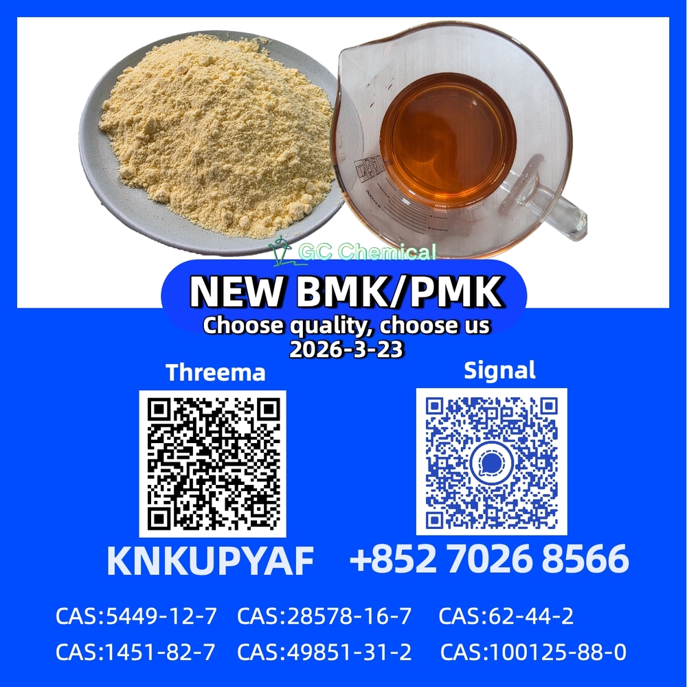 Bulk Stock 28578-16-7 P.M.K CAS 5449-12-7 New B..M.K Powder Oil