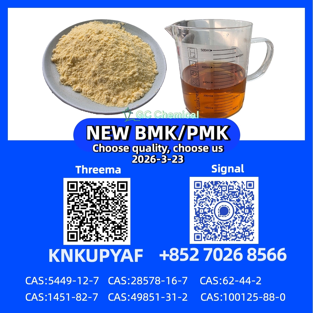 Immediate Shipment 28578-16-7 P.M.K CAS 5449-12-7 New B.M.K
