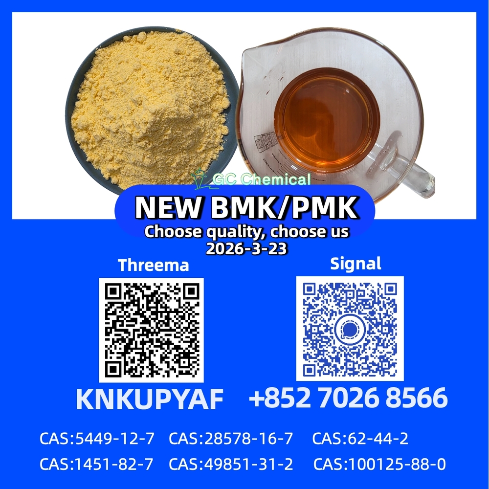 High-Quality 28578-16-7 PM.K New BM.K 5449-12-7