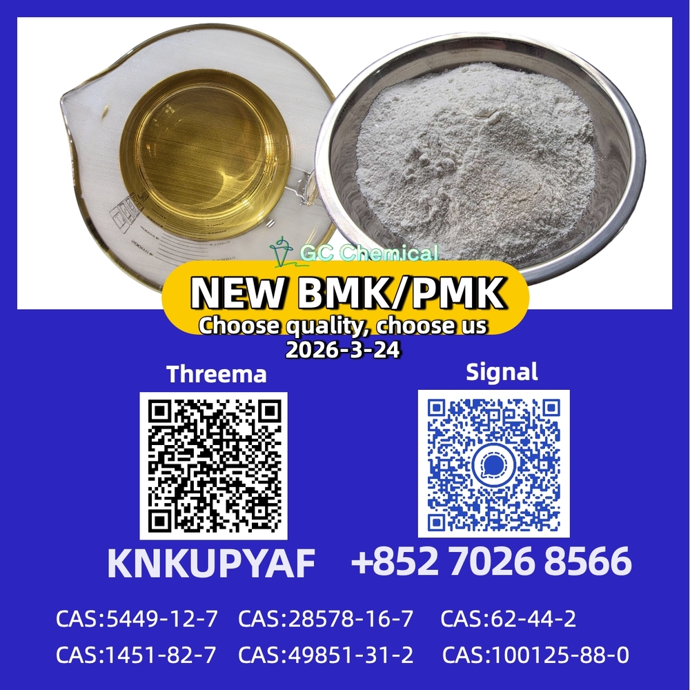 CAS 28578-16-7 New P.MK/ B.M.K Powder CAS 5449-12-7 | High Quality