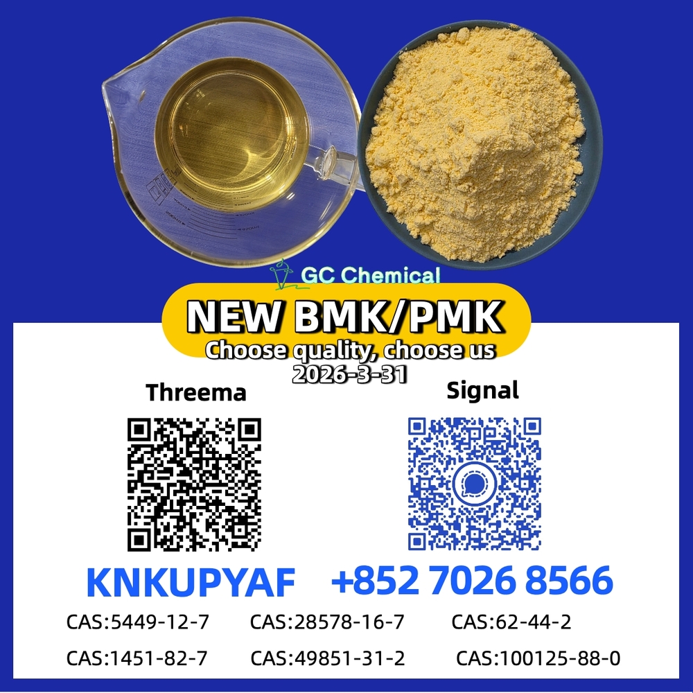 Professional PM.K 28578-16-7 with BM.K CAS 5449-12-7 Export