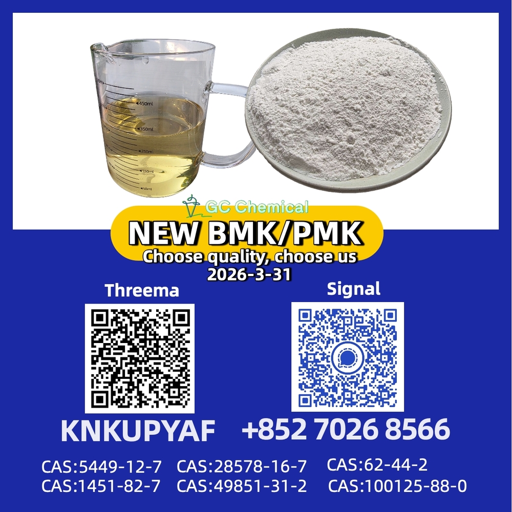Competitive Rates PM.K 28578-16-7 with BM.K CAS 5449-12-7