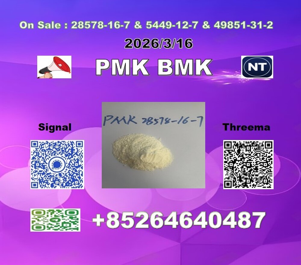 Buy Low price P.MK 28578-16-7 1369021-80-6 & B.MK 5449-12-7 big factory