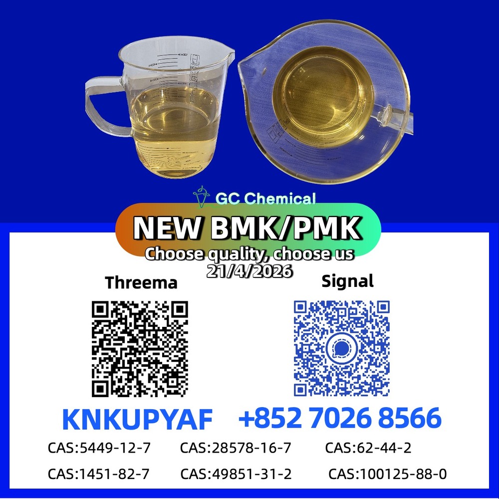 PM.K CAS 28578-16-7 fast logistics, BM.K CAS 5449-12-7 synchronized