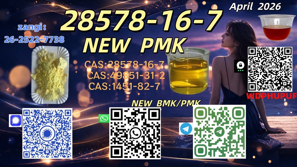 28578-16-7 B.MK Powder 5449-12-7 PM.K 49851-31-2