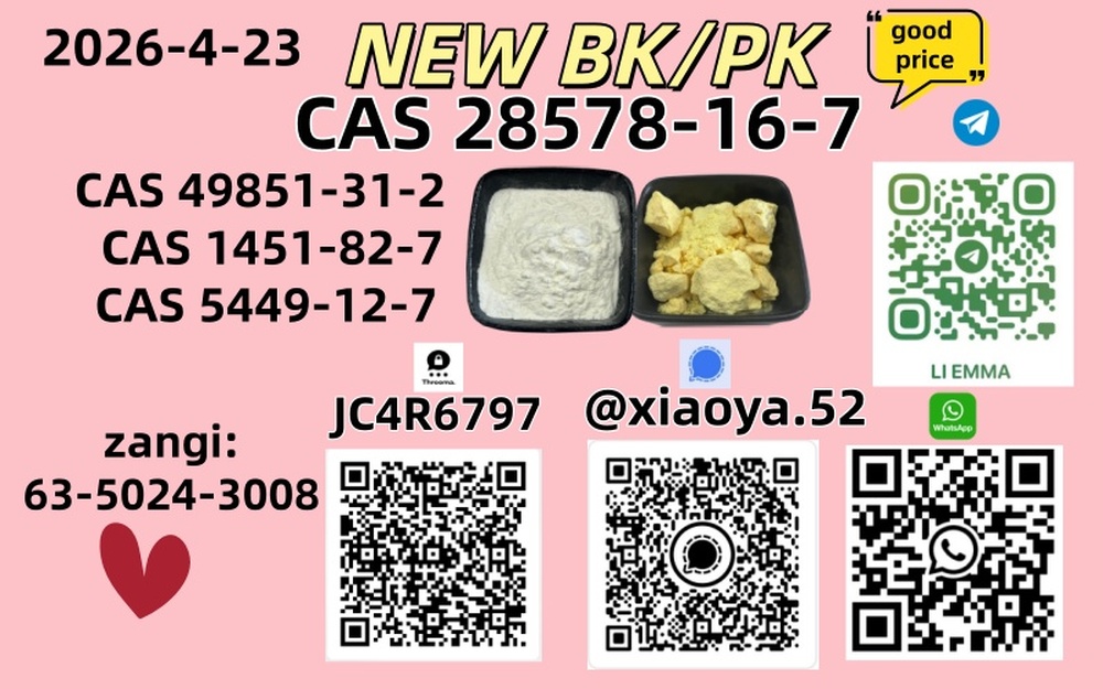 NEW BMK/PMK CAS 49851-31-2 CAS 28578-16-7In Stock