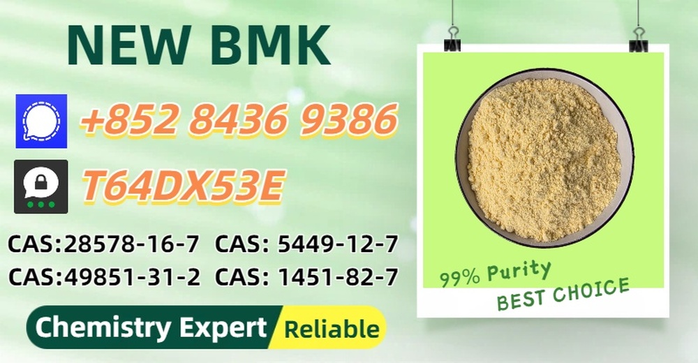 Well-Established Factory Supply P.MK 28578-16-7 With B.MK 5449-12-7