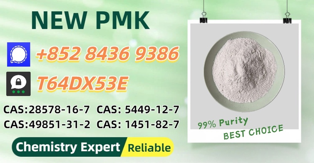 Well-Established Factory Supply P.MK 28578-16-7 With B.MK 5449-12-7