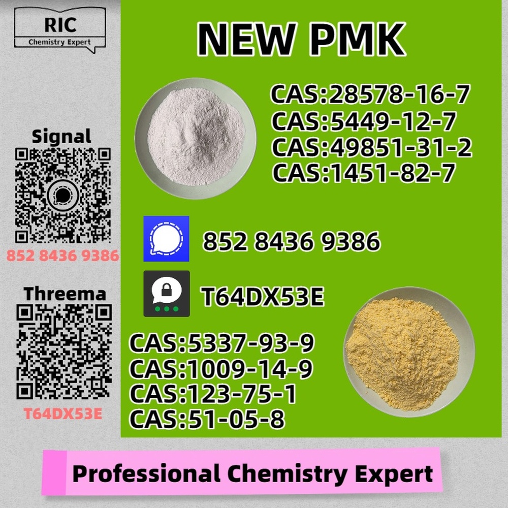 Backup Factory Availability B.MK Powder 28578-16-7 P.MK 5449-12-7