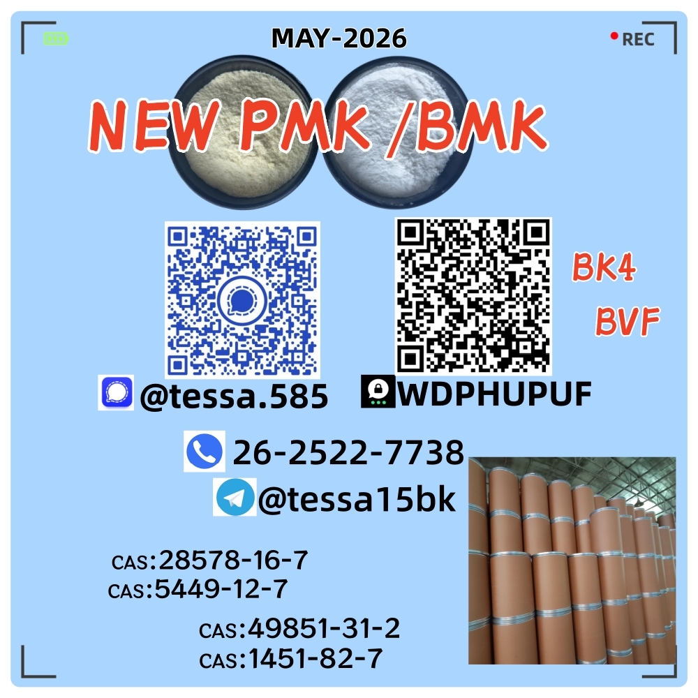 Ethyl Glycidate 28578-16-7 New P.MK Power  BM.K 5449-12-7