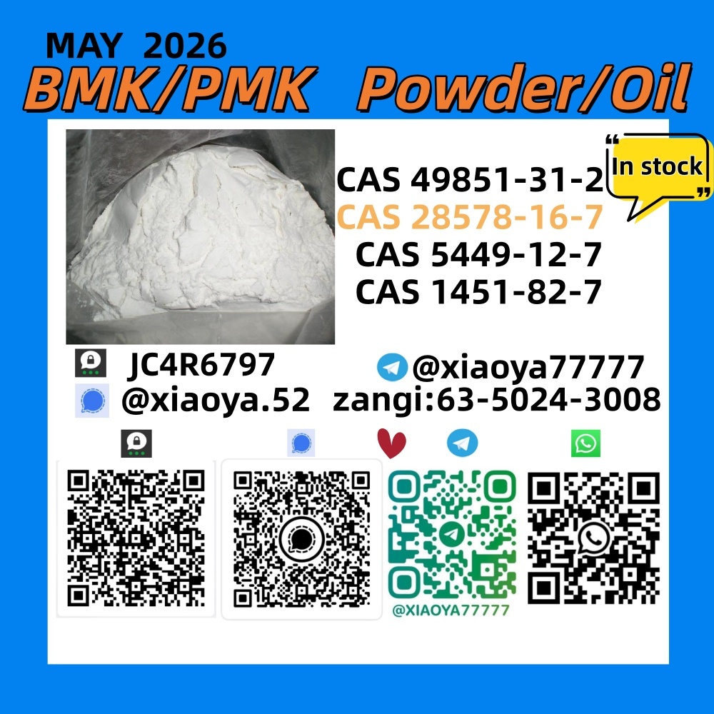 New P.MK BM.K Powder/Oil : 5449-12-7 Delivered safely