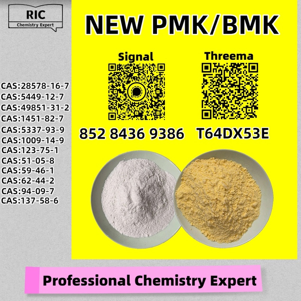 Priority one: safety and stability CAS: 28578-16-7,New P.MK B.MK