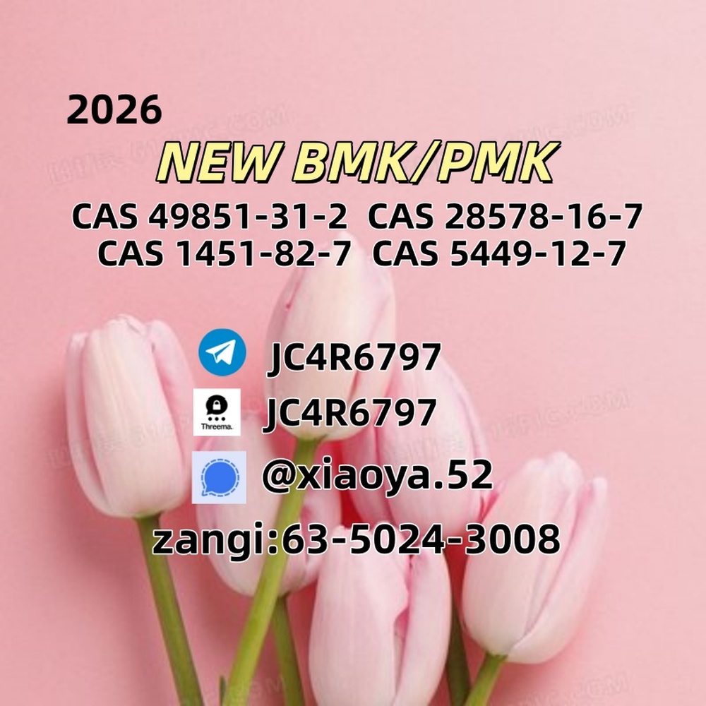 New 5449-12-7 BMK Powder 28578-16-7CAS 49851-31-2CAS:   1451-82-7In Stock