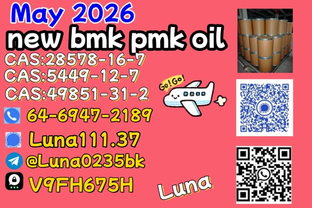 NEW CAS 28578-16-7 P.MK/5449-12-7 BM.K / 49851-31-2/1451-82-7