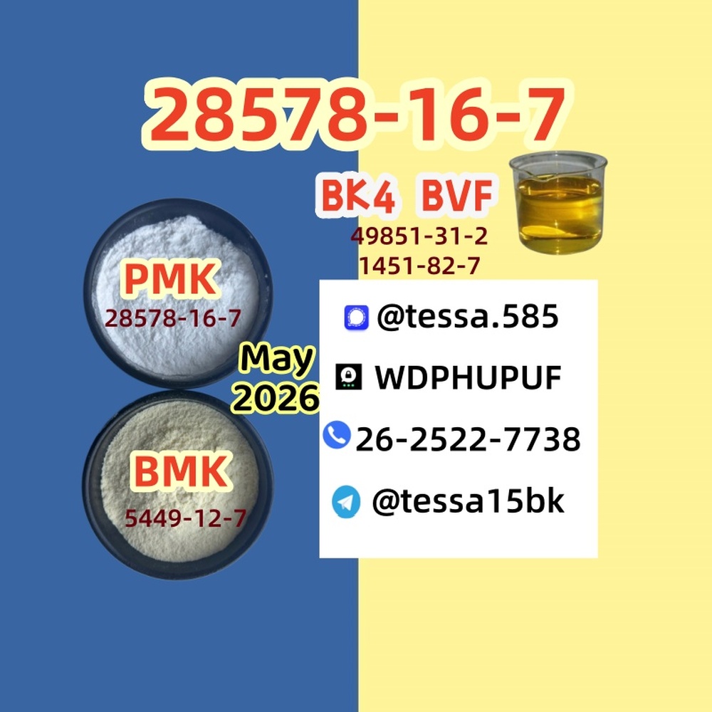 CAS 28578-16-7  PMK New Powder 5449-12-7 B.MK 99% Pure and 49851-31-2