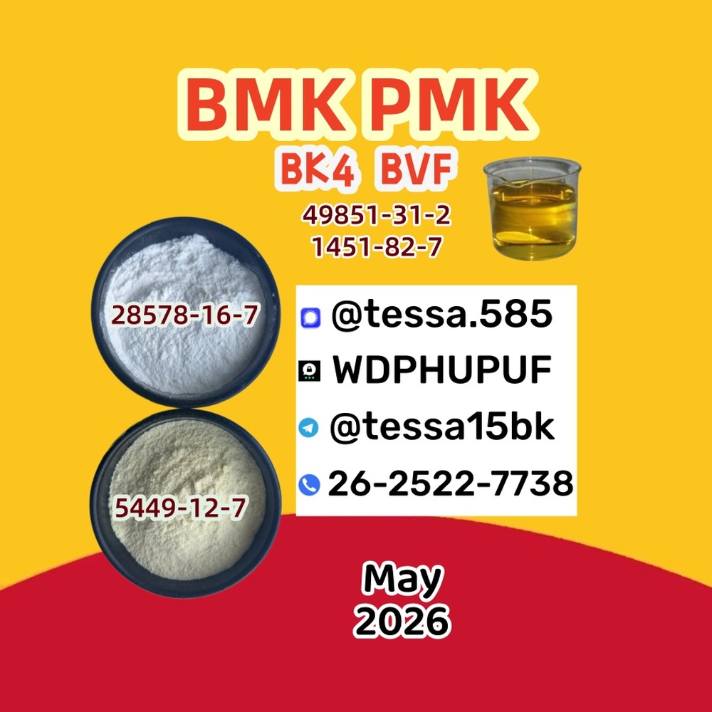 CAS 28578-16-7 Ethyl Glycidate PMK Powder  Analytical Reagents Supplier  5449-12-7 BMK